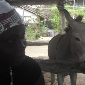 Meet your Posher, Alfa